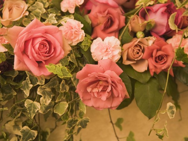 поздравляю с