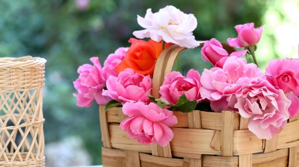 розы в корзинке