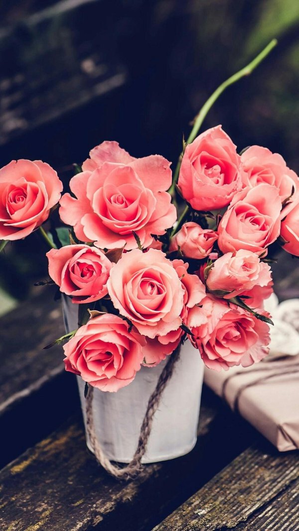 роза розовая