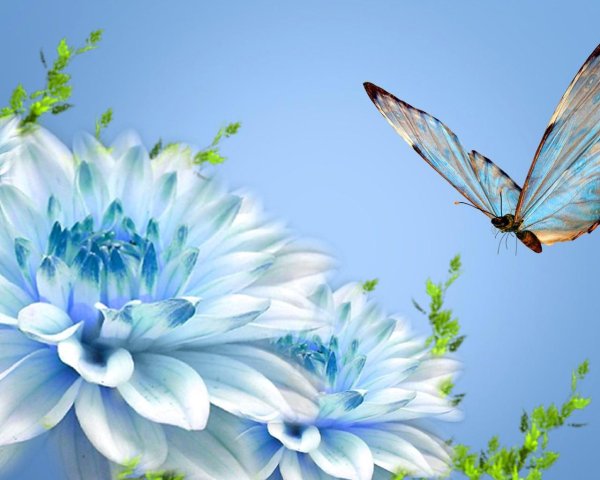 бабочки порхают над цветами