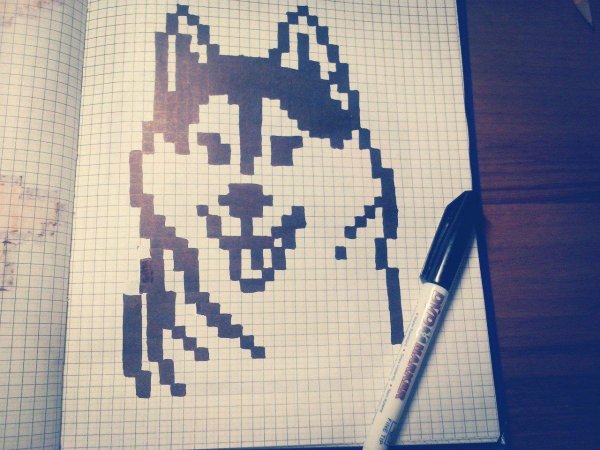 рисунку по клеточкам