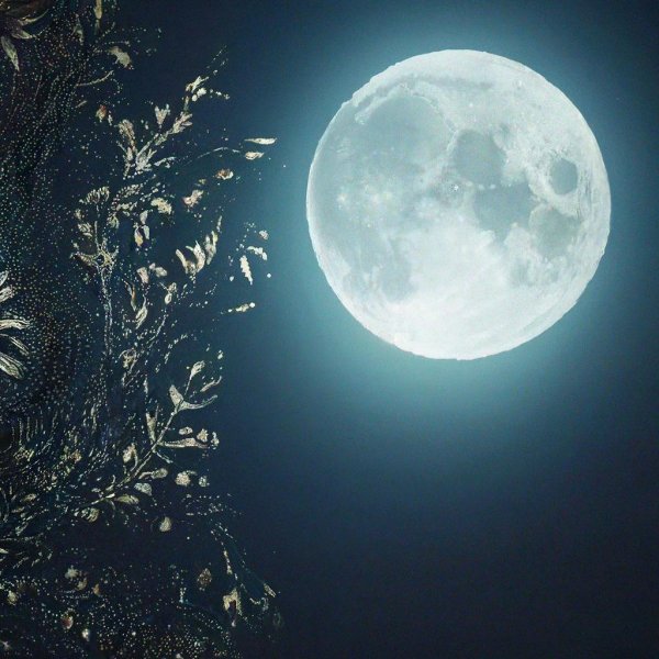 красивые фотографии луны