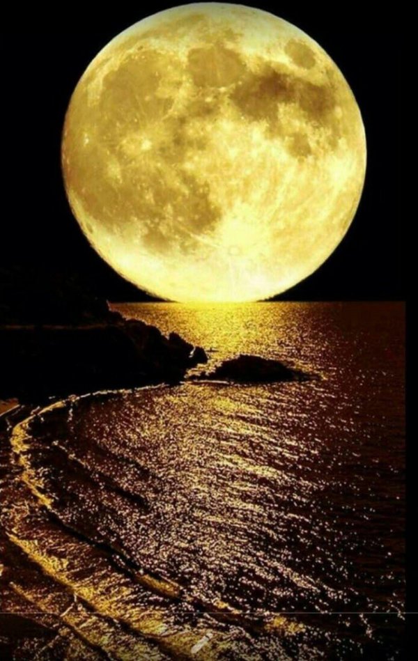 круглая луна