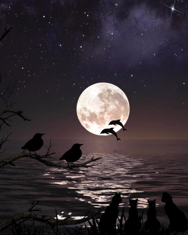 на фоне луны