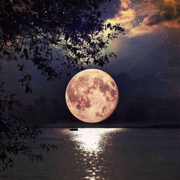 ночь с луной