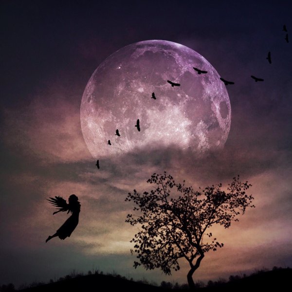 на фоне луны