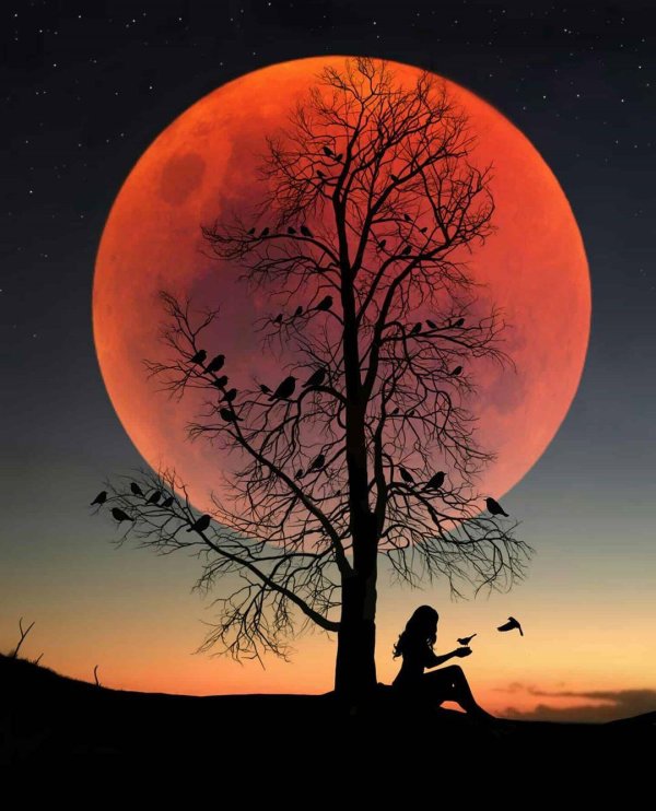 на фоне луны