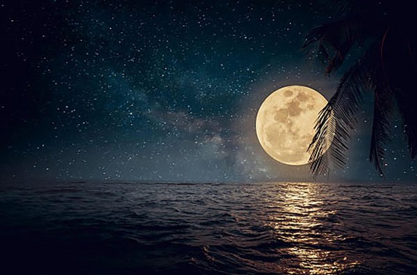 ночное море