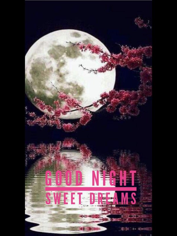 good night sweet dreams