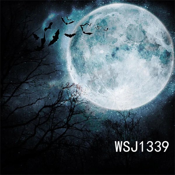 ночь с луной