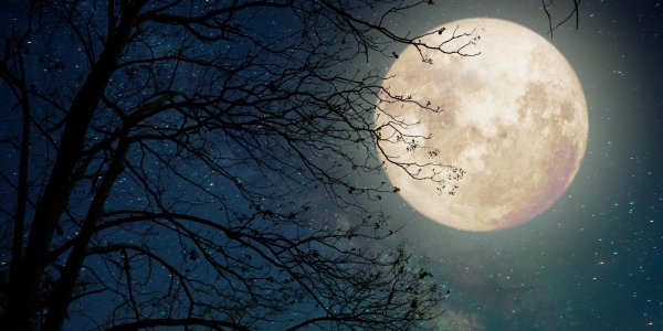 ночное небо с луной