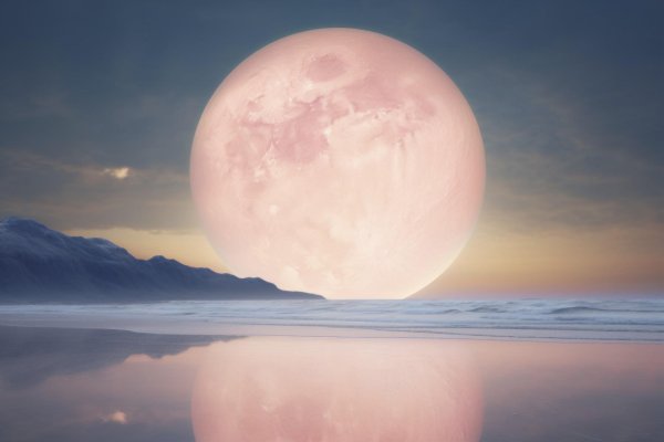 розовая планета