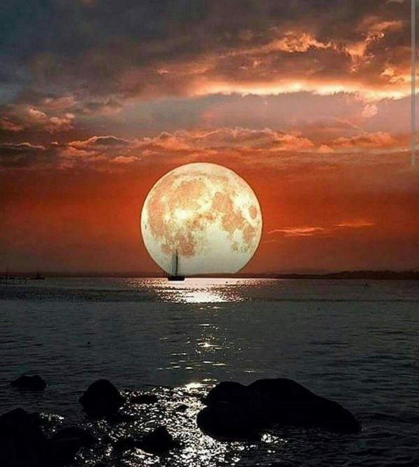 beautiful moon