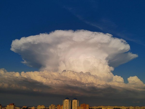 кучево дождевые