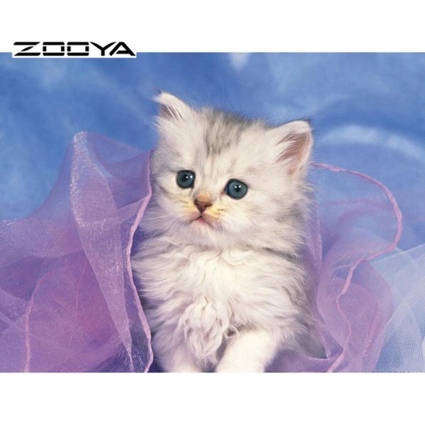 котенок красивый