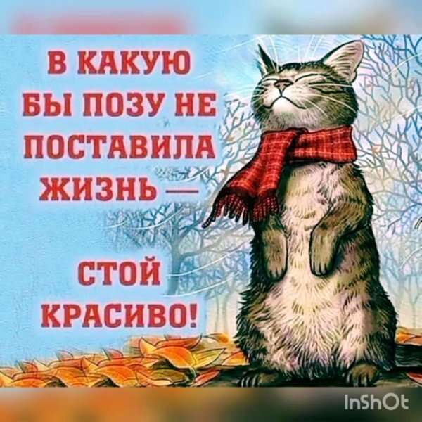 в какую бы позу не поставила жизнь стой красиво