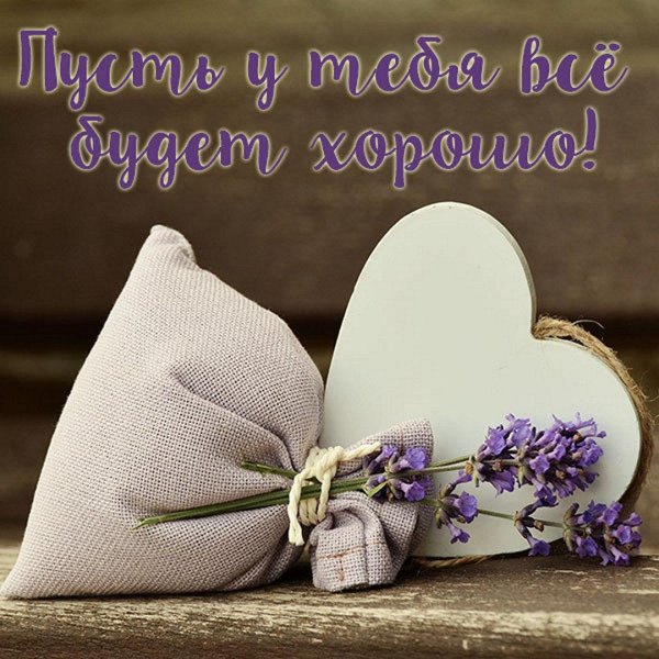 лаванда цветки