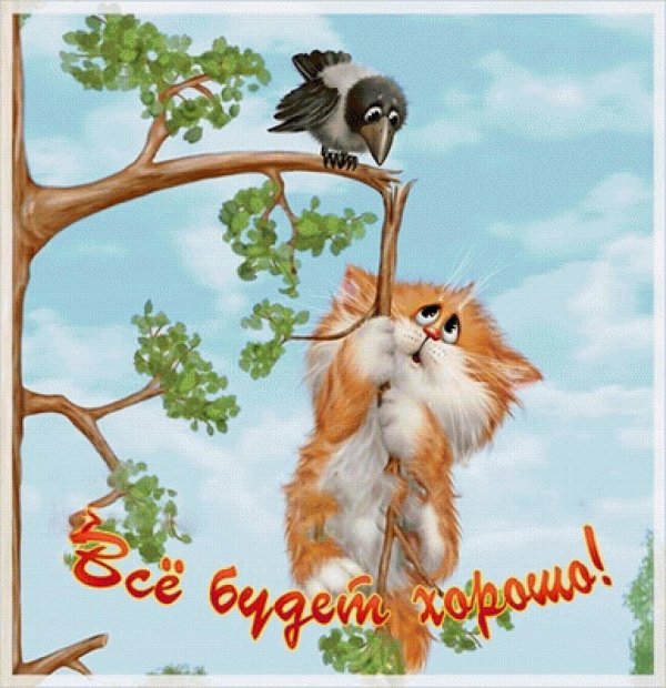 котики алексея долотова