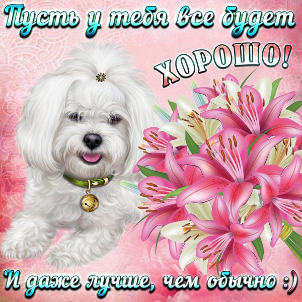 новогодние собачки