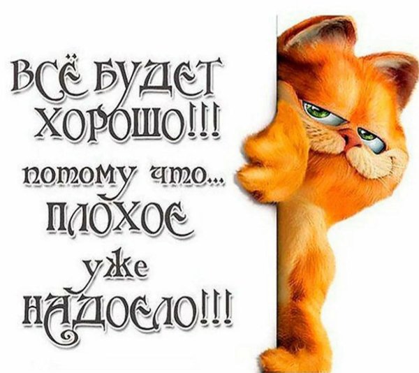 кот гарфилд