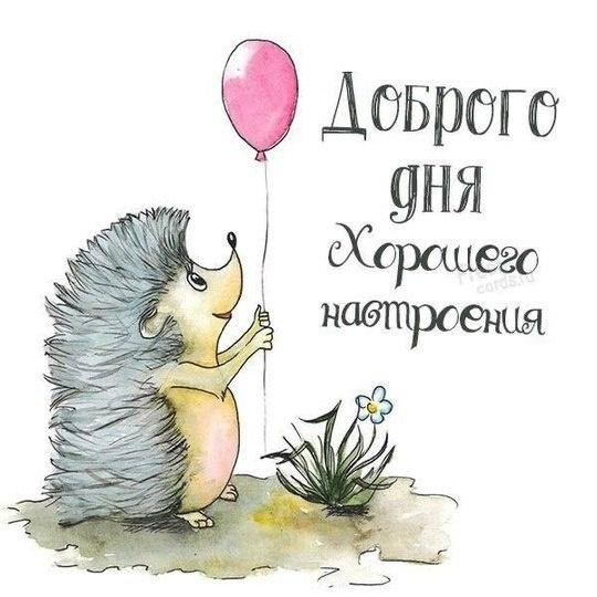 ежик иллюстрация