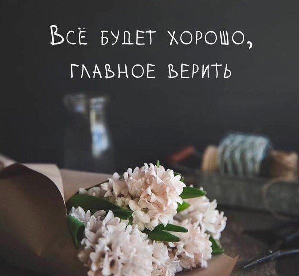 гиацинт домашний цветок