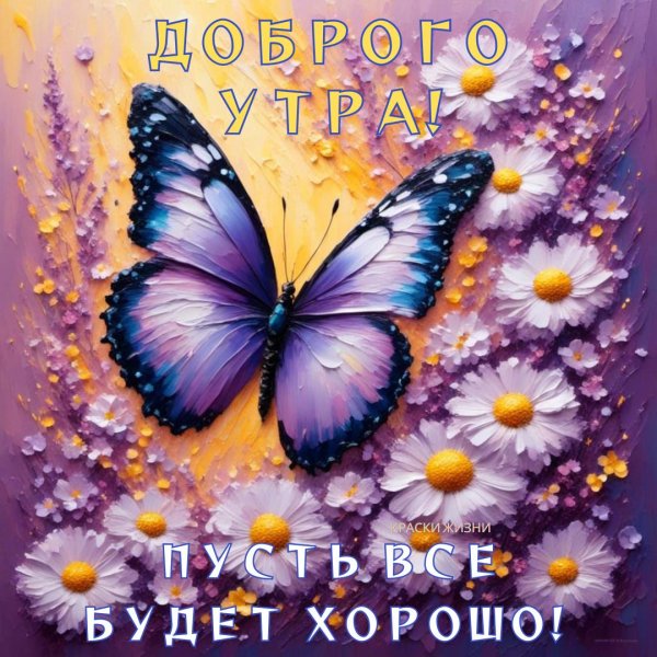доброе утро краски жизни