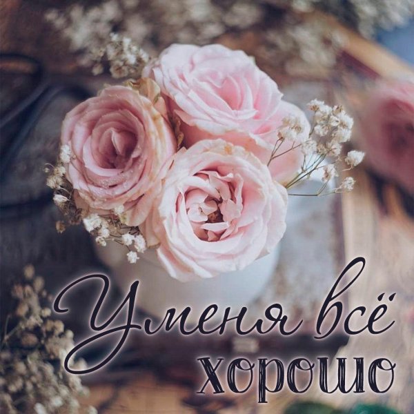 открытки со словами