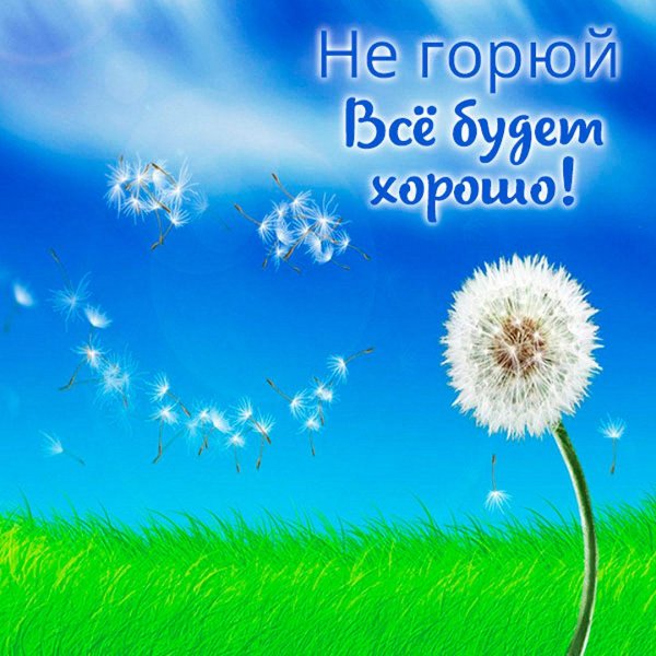 летающий одуванчик