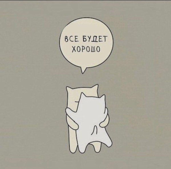 милые котики рисунки