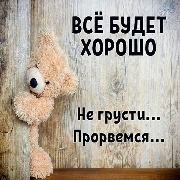 плюшевая мишка