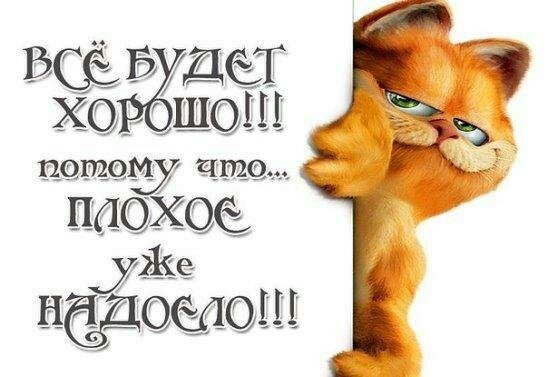 кот гарфилд