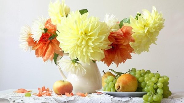 георгины фотонатюрморты