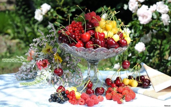 летние ягоды
