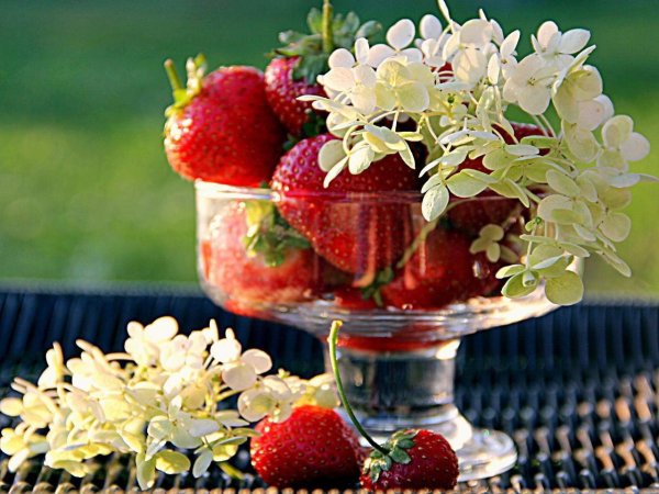 С фруктами с цветами