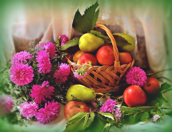 осенние натюрморты