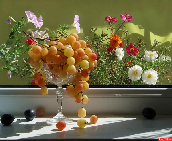 доброе утро с виноградом