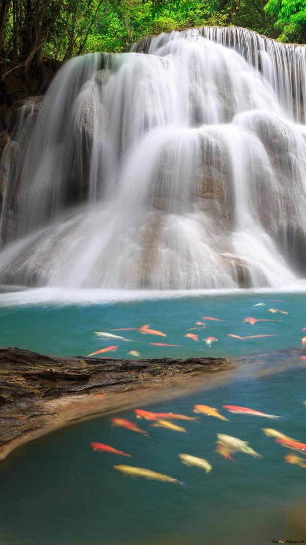 красивые водопады