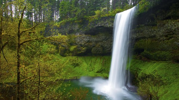 silver falls state park