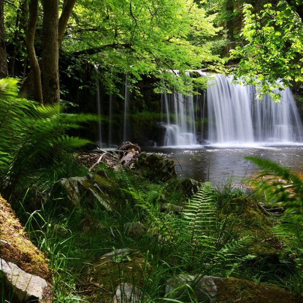шварцвальд водопады