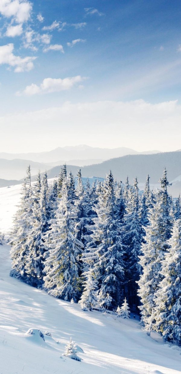 зимняя панорама