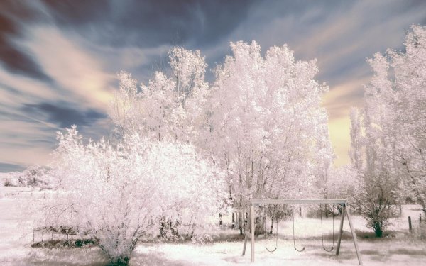 зимняя природа