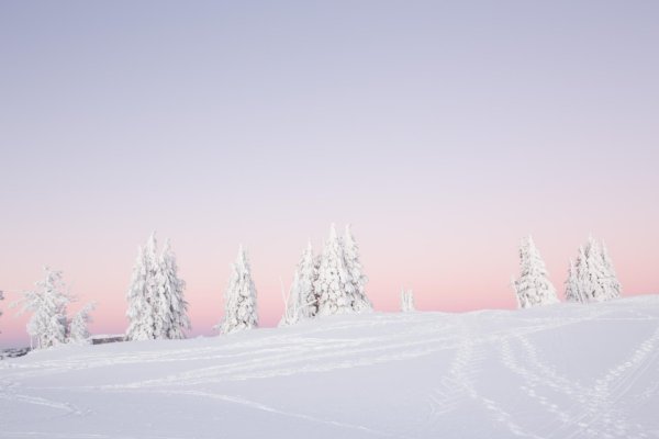 зимние обои