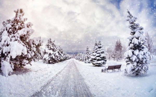 фон зимнего леса