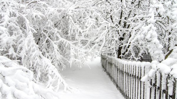 снег красиво