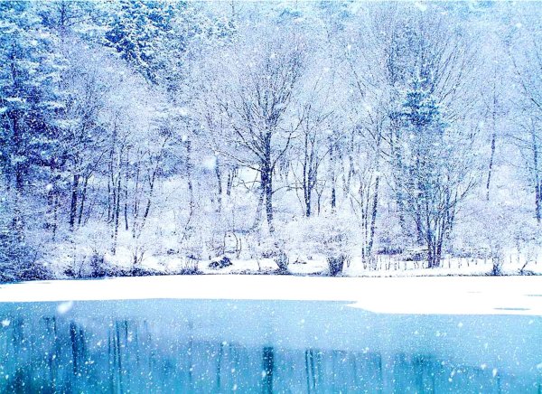 зимний фон красивый