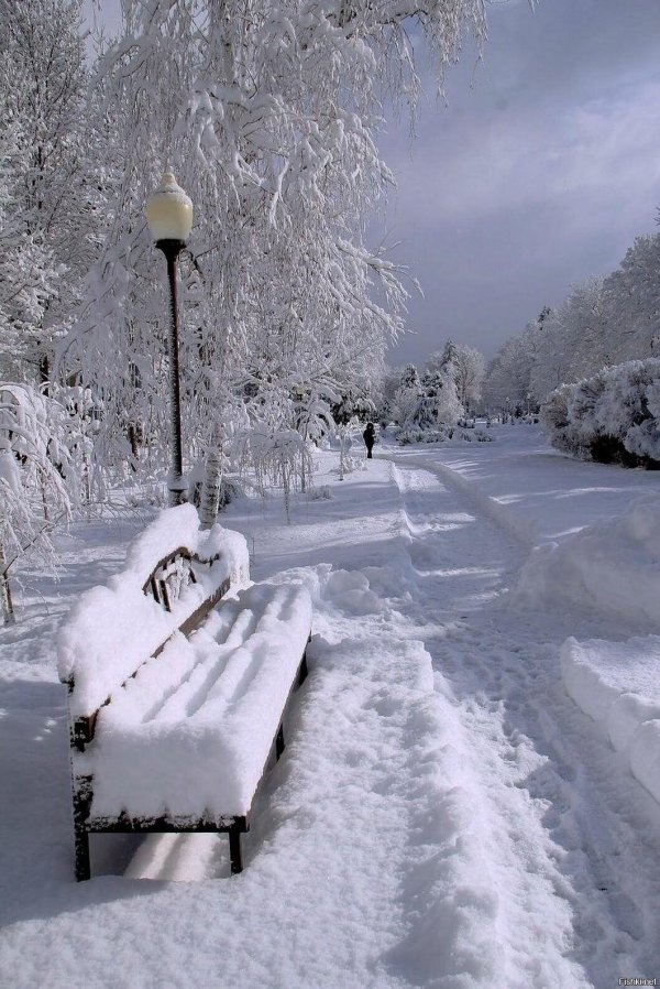 зимняя скамейка