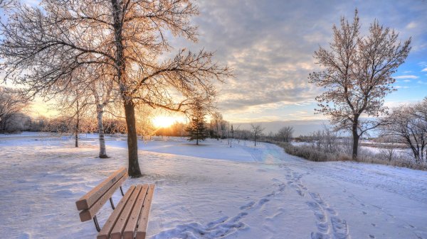 одинокая зимняя скамейка