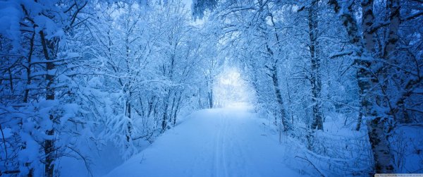 зимняя природа