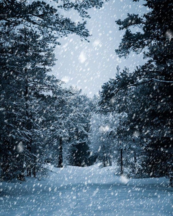 падает снег